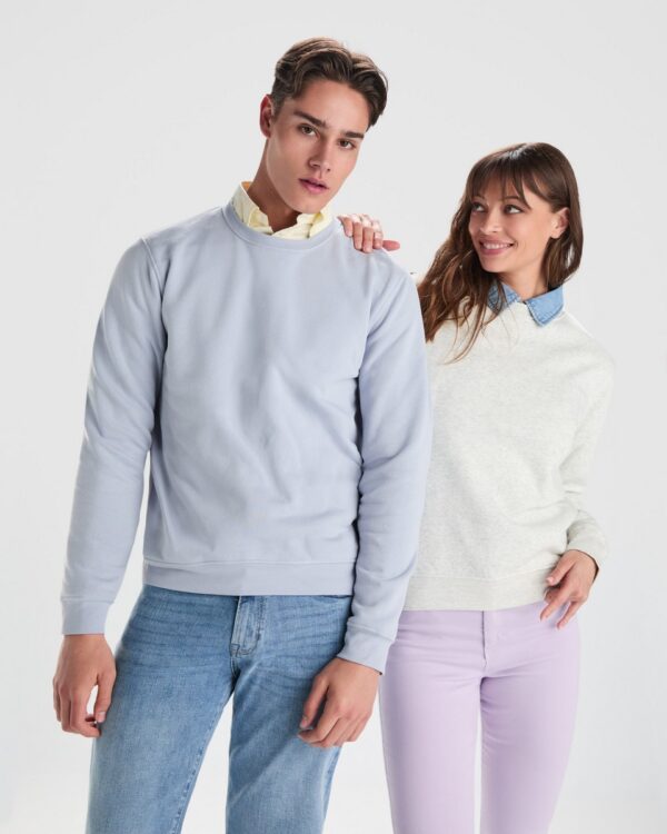 Sudadera Roly Clásica 1070 Unisex